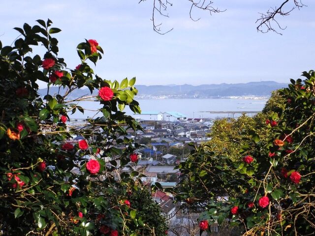 ��R�����΂��̌a�̎ʐ^2