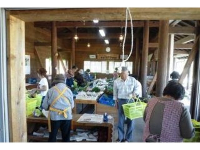 �đq�˂ނ̖؂̎s�̎ʐ^1