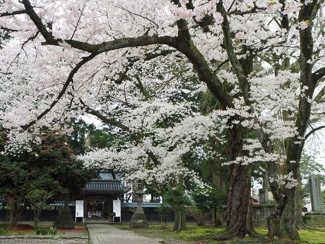 ���̐_�@����_��