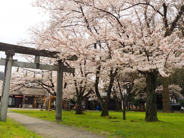 ���̐_�@����_��