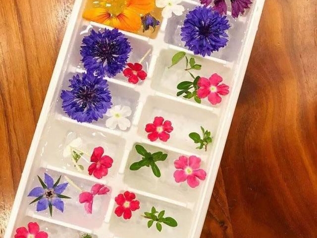 �u�H�ׂ���ԑ��v�T���_�u�[�P���̌�