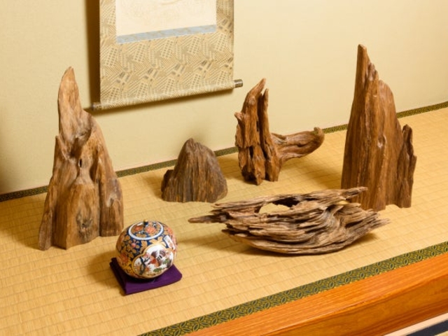 ������y�~�h���V���[���[���z�̎ʐ^1