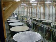 �x�m���𑢂̎ʐ^1