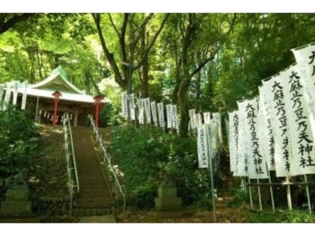 �喃�~�T���T�V�_�Ђ̎ʐ^1