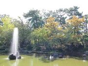 ���R�����̎ʐ^1