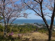 �ѐώ��i�c��Y�̊ω�����j�̎ʐ^2