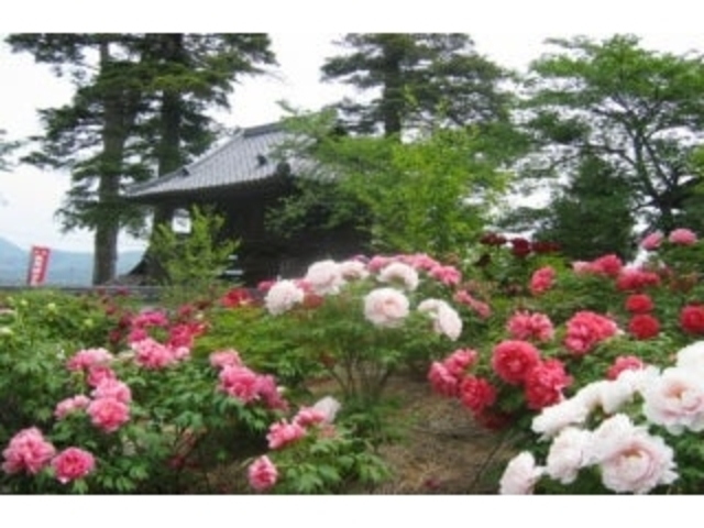 �ڂ���̎ʐ^1