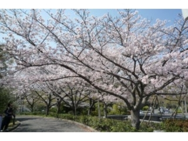 ��z�s�̍��i���s�{�j�̎ʐ^1