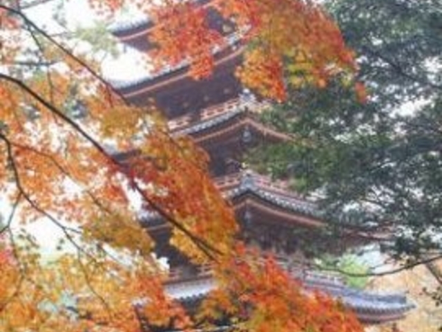 �C�Z�R���̍g�t�̎ʐ^1