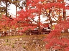 �O�g�T�R��Ղ̍g�t�̎ʐ^1