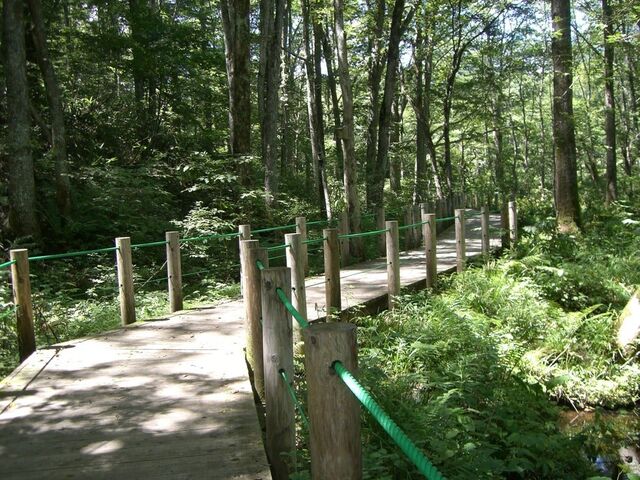 �ˉB�X�ѐA�����̎ʐ^1