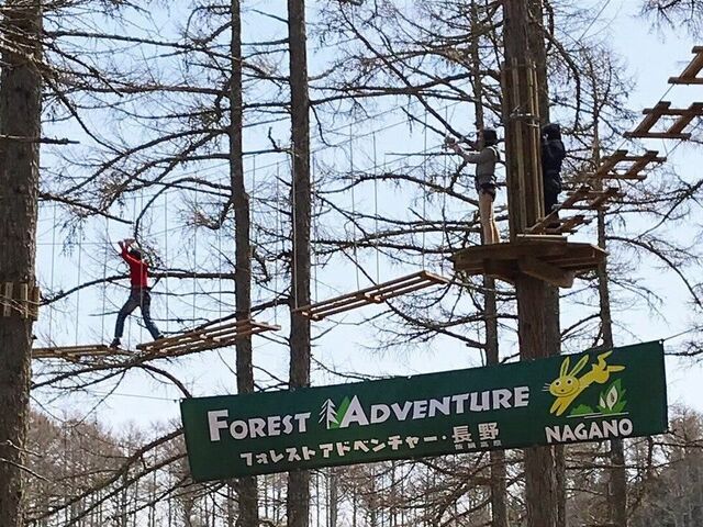 �t�H���X�g�A�h�x���`���[�E����