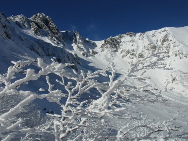 ����~�J�[���̐�i�F�Ɛ���̎ʐ^1