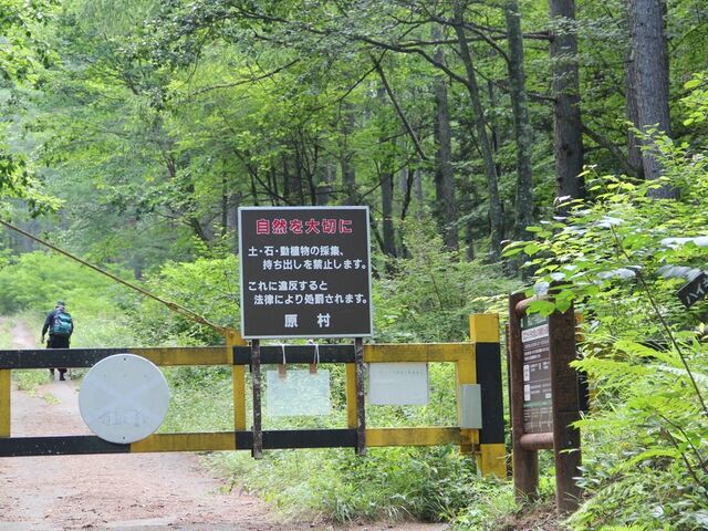 �M�R�\���H�o�R���̎ʐ^1