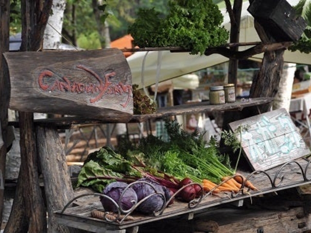 �����������s�̎ʐ^1