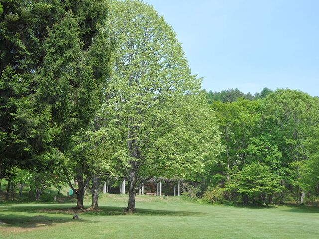 �����x���R�������̎ʐ^1