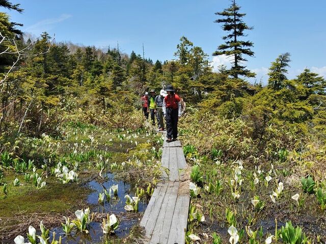 �����R�������̎ʐ^1