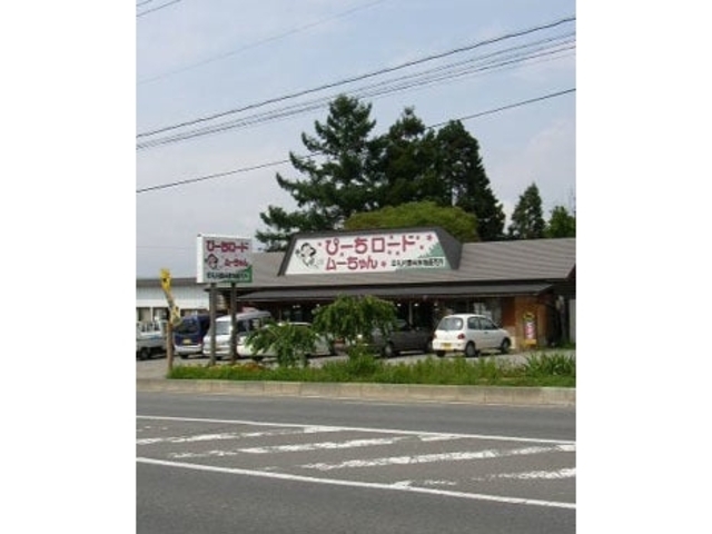 ����_�Y��������(�s�[�`���[�h���[�����)�̎ʐ^1