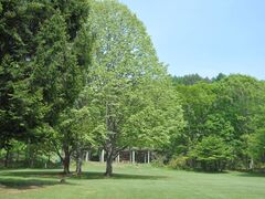 �����x���R�������̎ʐ^