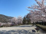 ����s��R�����̍��̎ʐ^2