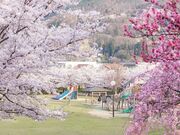 ����s��R�����̍��̎ʐ^4