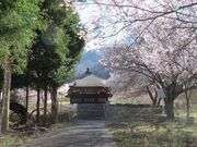 �^�c�M�d�̌�쉮���������E���y���̎ʐ^2