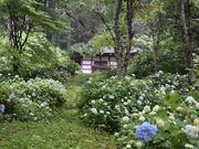 �L�����̎ʐ^1