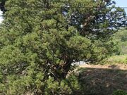 ��_�@�̎ʐ^2