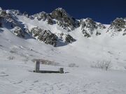 ����~�J�[���̐�i�F�Ɛ���̎ʐ^3