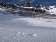 ����~�J�[���̐�i�F�Ɛ���̎ʐ^4