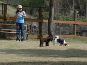 �����x���R�������̎ʐ^3