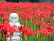 ���R���E�����r�W�^�[�Z���^�[�́T���؊ق̎ʐ^3