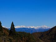 ���R���E�����r�W�^�[�Z���^�[�́T���؊ق̎ʐ^4