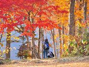 ���n��x�}�E���e�����]�[�g�H�c�Ƃ̎ʐ^3