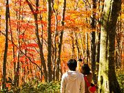 ���n��x�}�E���e�����]�[�g�H�c�Ƃ̎ʐ^4