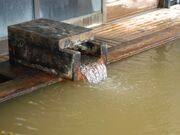 ���n���̓�����̎ʐ^4