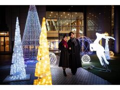 �т�Α�Ãv�����X�z�e���@�т�v���C���~�l�[�V���� 2025-2026 Magic in Lights�̎ʐ^1