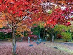 Fˏ~ilaj뉀̓ʌJ̎ʐ^1