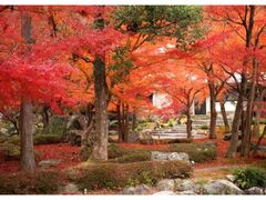 傤񃊃][gs̍gt̎ʐ^1