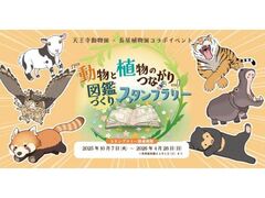 V~AX^v[uƐÂȂ}ӂÂv̎ʐ^1