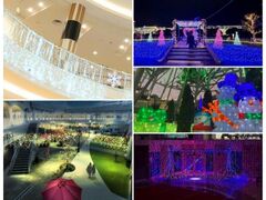 E̋GAvO g񂭂̋ 2025h̎ʐ^1