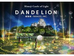 Himeji Castle of LightuDANDELION PROJECT PH~NAKEDCINCDv̎ʐ^1