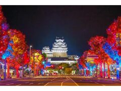 HimejiOʂC~l[V̎ʐ^1