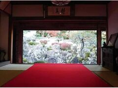 H̓ʔqρ^قĂ܂ in قĂ}VF̎ʐ^1