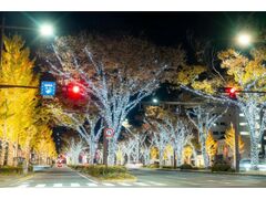 a̎R₫ʂC~l[V KEYAKI LIGHT PARADE by FeStA LuCe̎ʐ^1