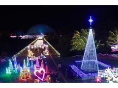 t[C~l[VinƂƂԉL̎ʐ^1