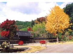 ΒJƏZ뉀@H̓ʌJ̎ʐ^1