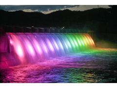 �яH�Α��T�}�[Light�t�F�X�e�B�o��in�ɂ��킪�̎ʐ^1