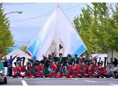 2026�Ƃ悳��YOSAKOI�̎ʐ^1