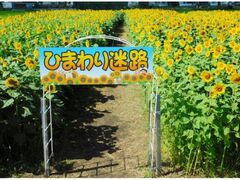 �V���s�̂Ђ܂����H�̎ʐ^1